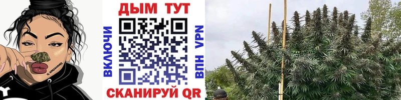 Бошки Шишки VHQ  Купить где  Ишимбай 